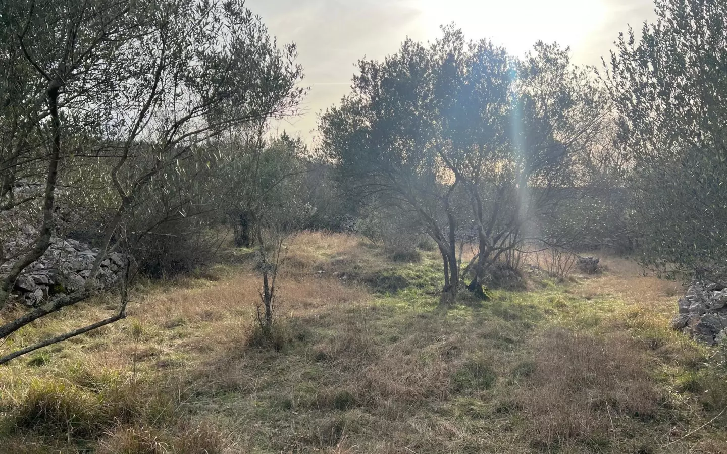 Land In Soline, Croatia (1.000 M²)