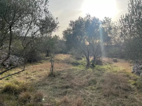 Land In Soline, Croatia (1.000 M²)