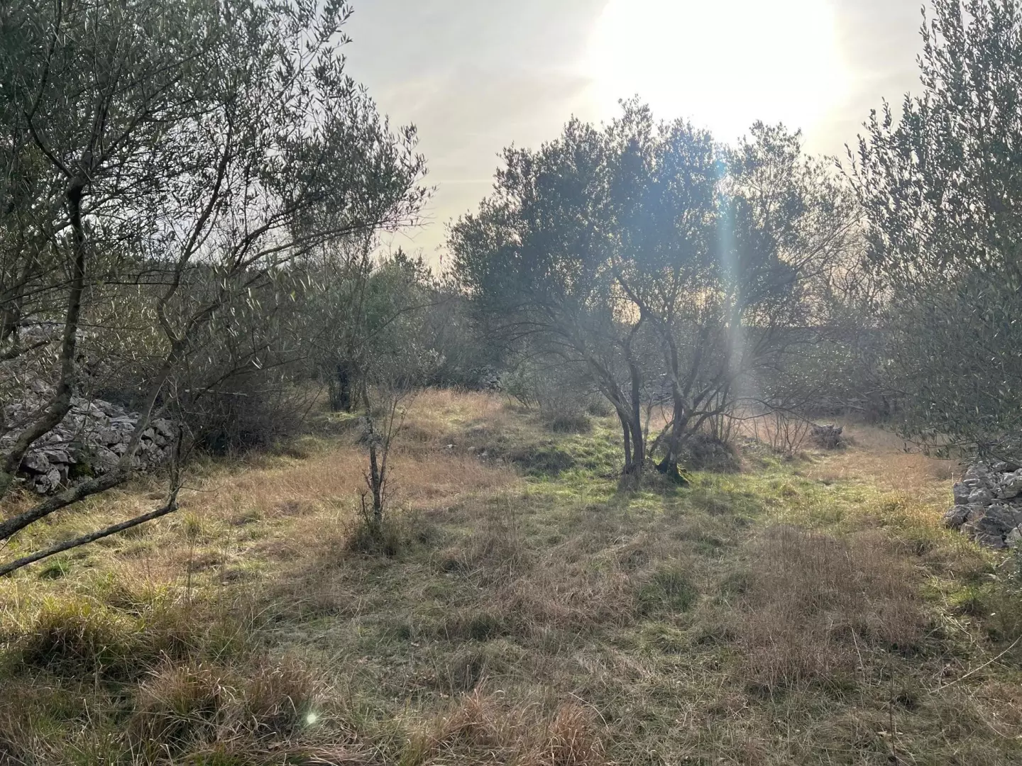 Land In Soline, Croatia (1.000 M²)
