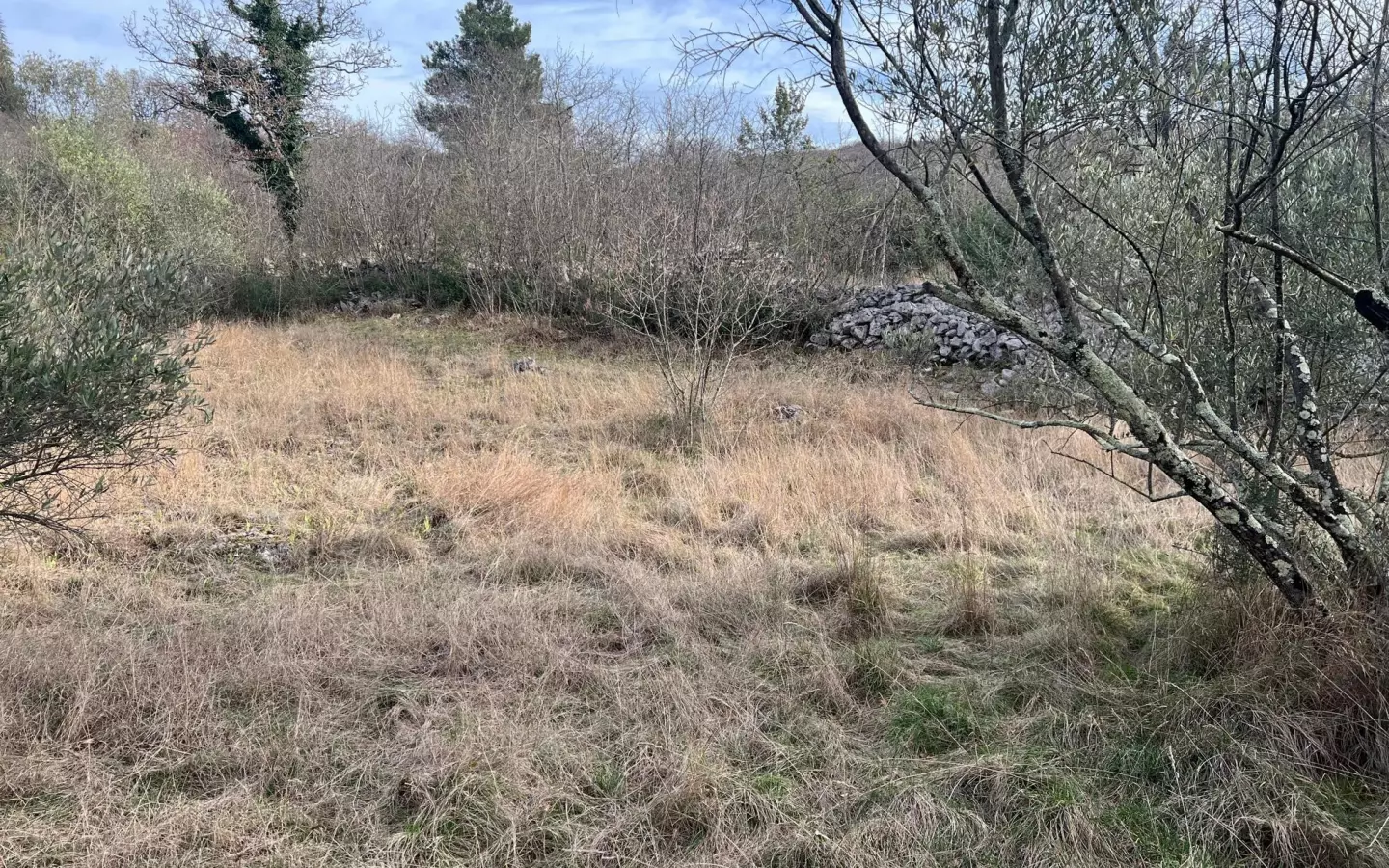 Land In Soline, Croatia (1.000 M²)