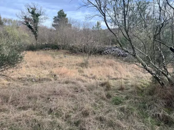 Land In Soline, Croatia (1.000 M²)