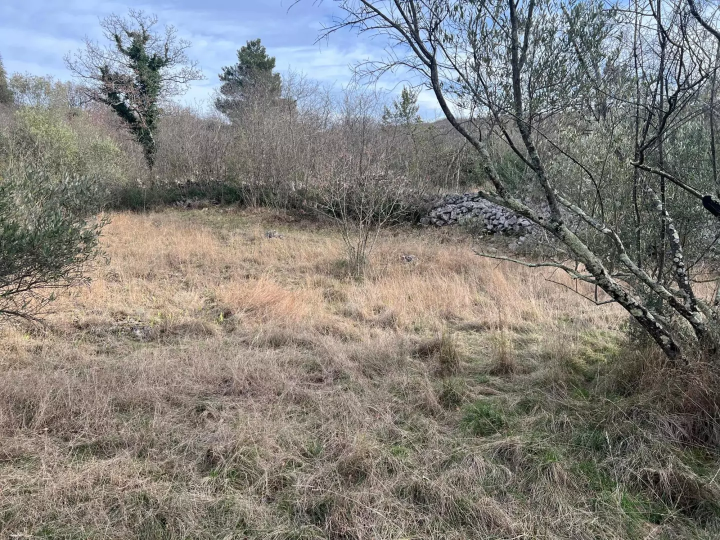 Land In Soline, Croatia (1.000 M²)