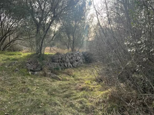 Land In Soline, Croatia (1.000 M²)