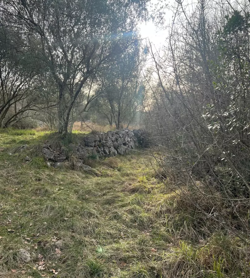 Land In Soline, Croatia (1.000 M²)