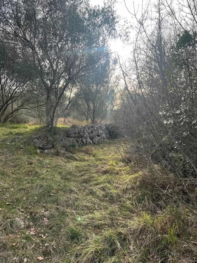 Land In Soline, Croatia (1.000 M²)