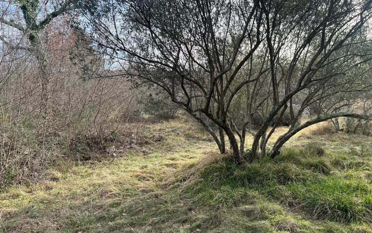 Land In Soline, Croatia (1.000 M²)