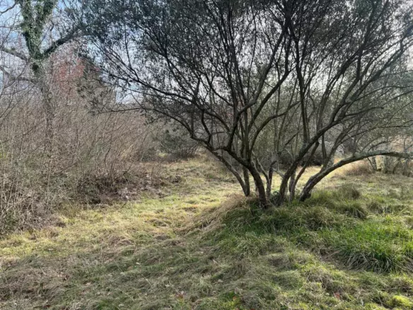 Land In Soline, Croatia (1.000 M²)