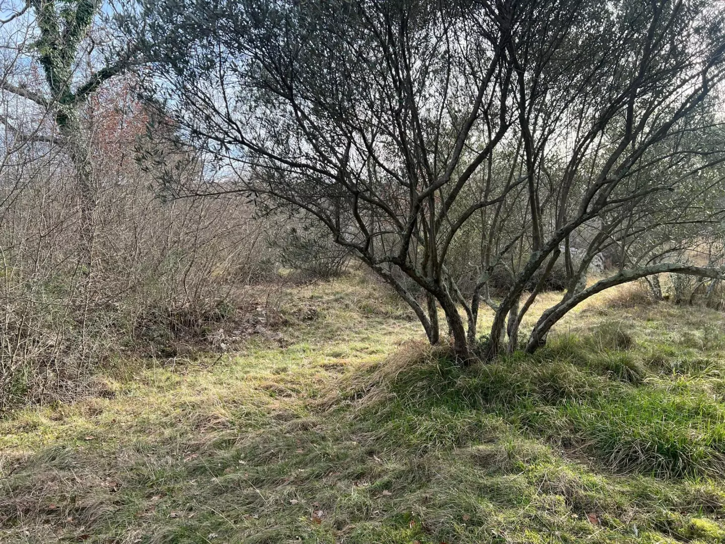 Land In Soline, Croatia (1.000 M²)