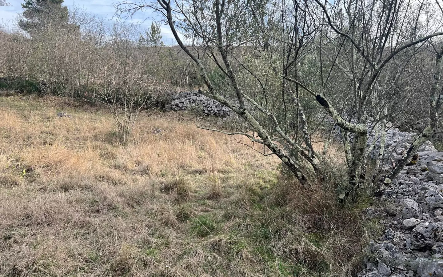 Land In Soline, Croatia (1.000 M²)