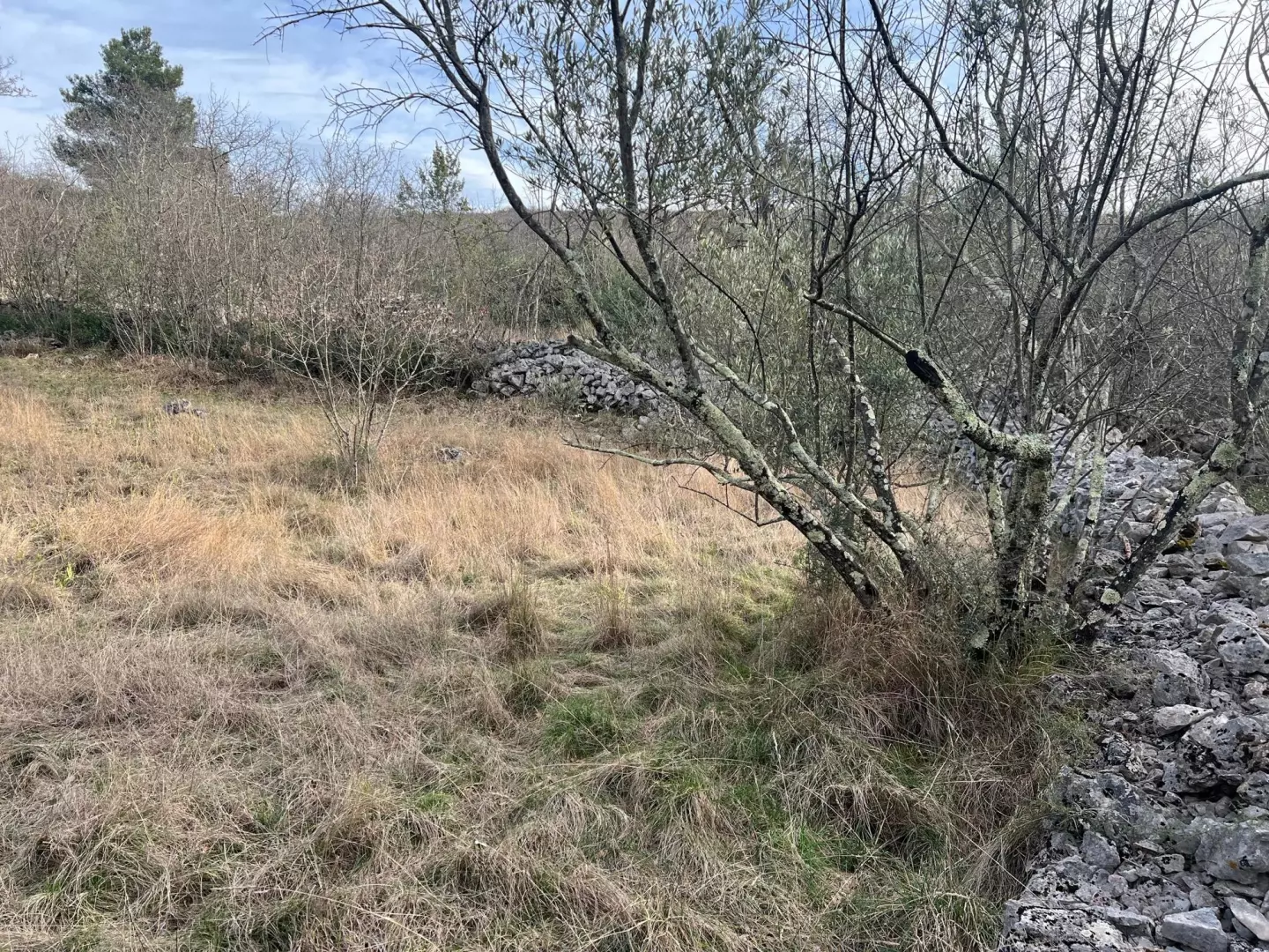 Land In Soline, Croatia (1.000 M²)