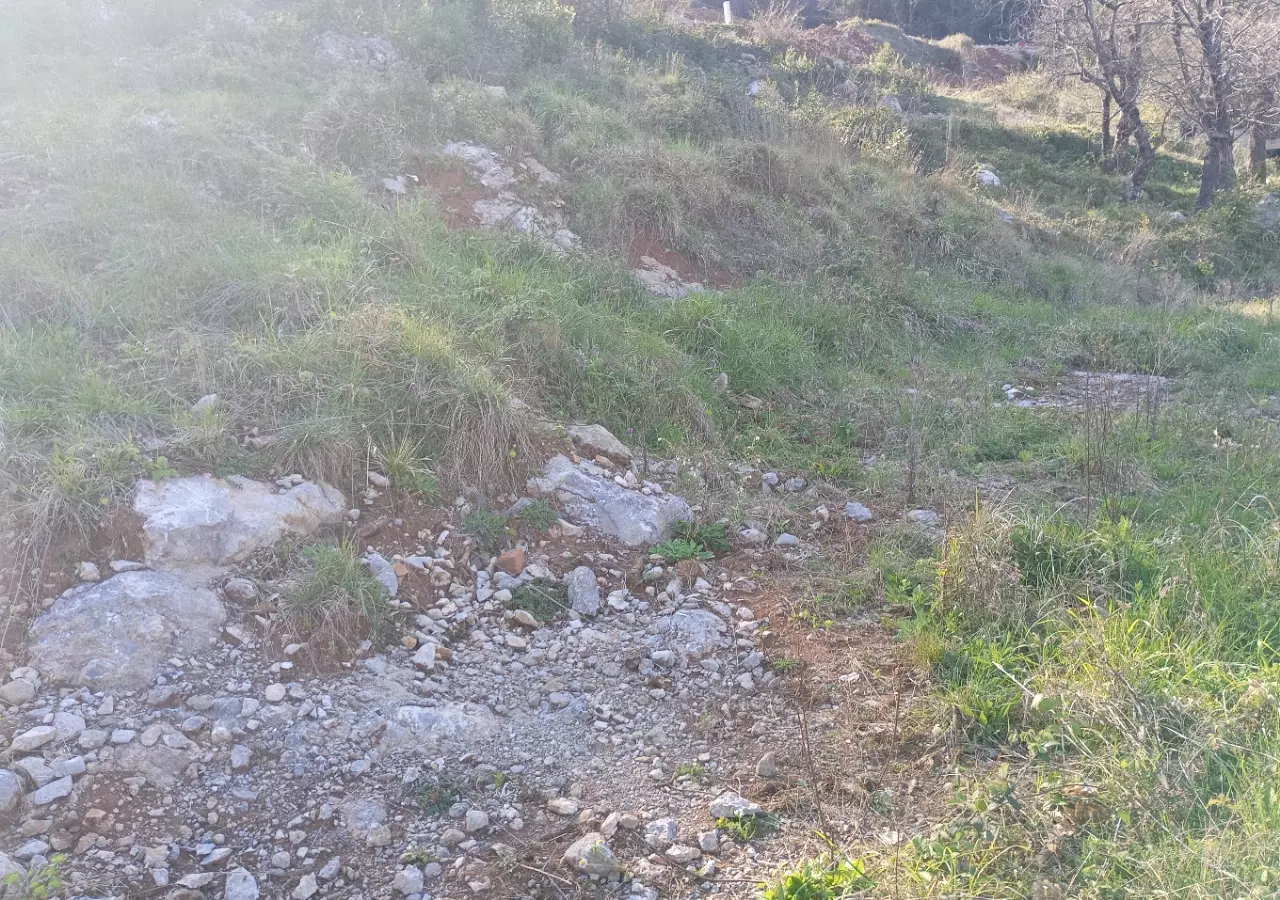 Land In Mihotići, Croatia (6.500 M²)