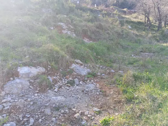 Land In Mihotići, Croatia (6.500 M²)