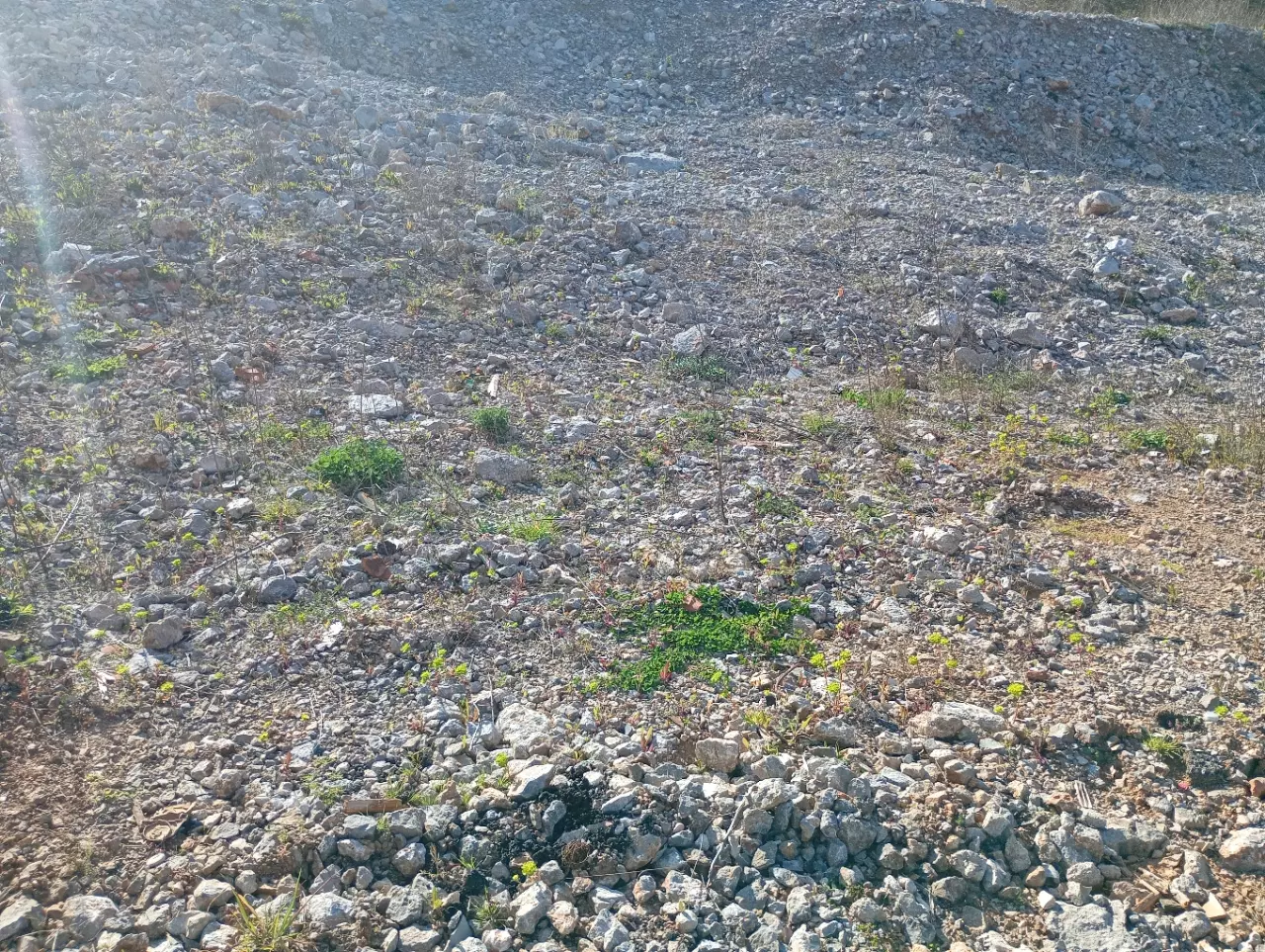 Land In Mihotići, Croatia (6.500 M²)