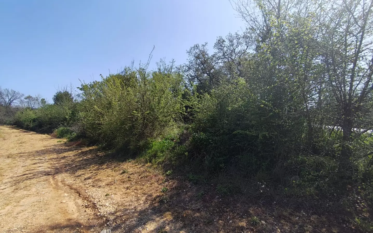 Land In Banjole, Croatia (3.750 M²)