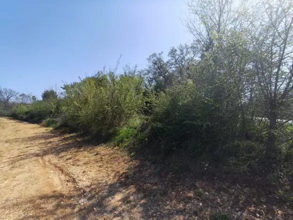 Land In Banjole, Croatia (3.750 M²)