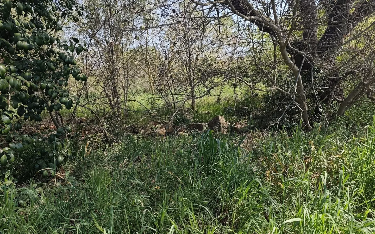 Land In Banjole, Croatia (3.750 M²)