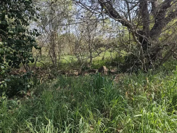 Land In Banjole, Croatia (3.750 M²)