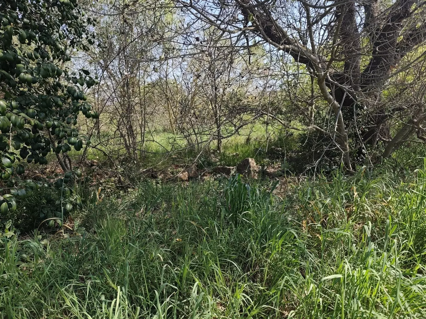 Land In Banjole, Croatia (3.750 M²)