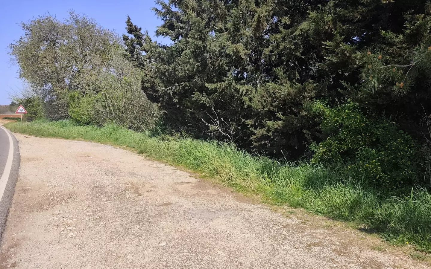 Land In Banjole, Croatia (3.750 M²)