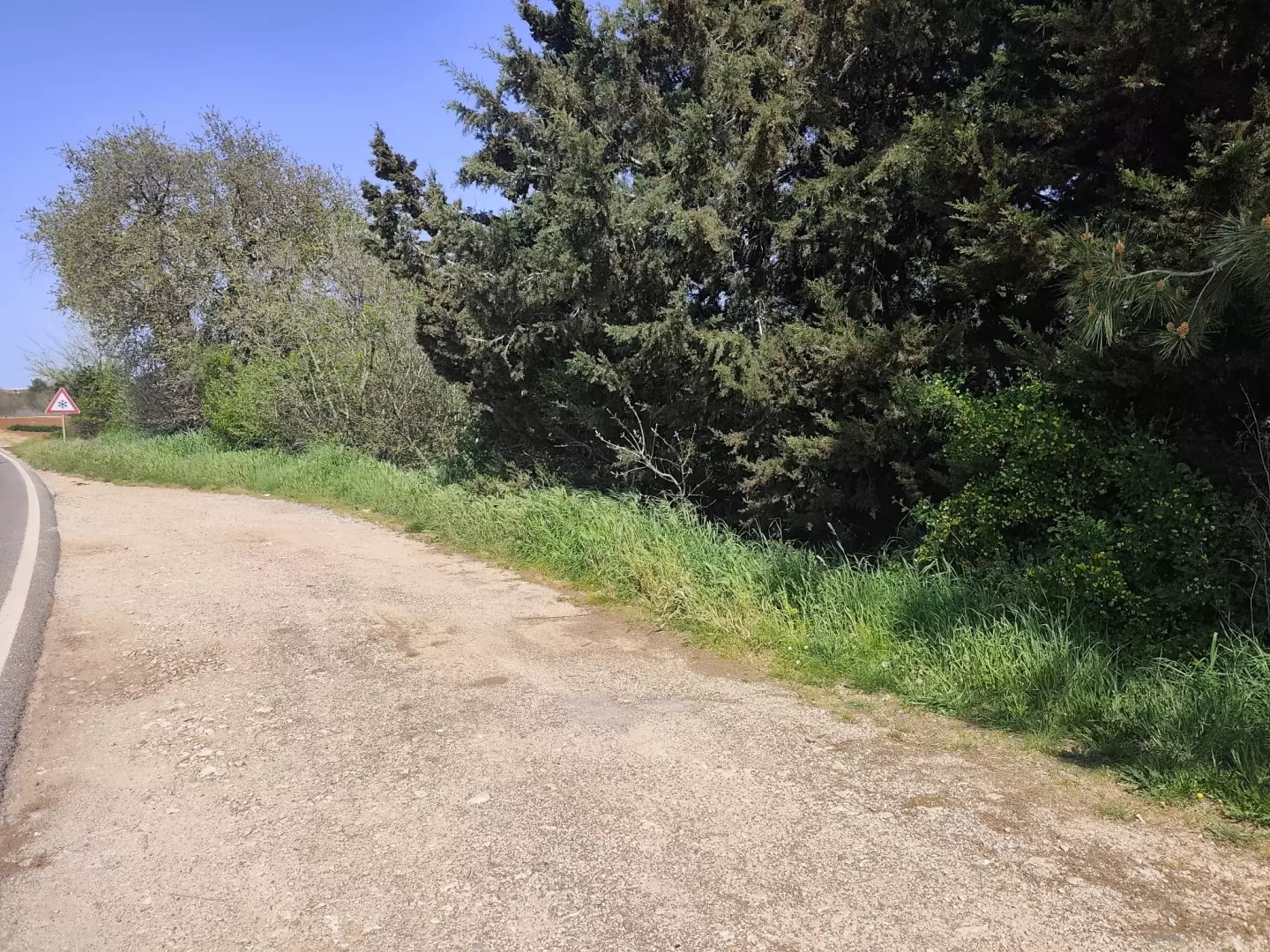 Land In Banjole, Croatia (3.750 M²)