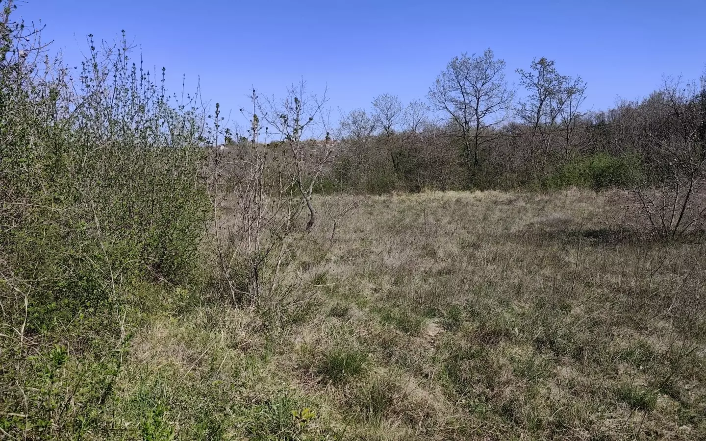 Land In Marčana, Croatia (681 M²)