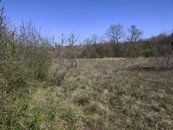 Land In Marčana, Croatia (681 M²)