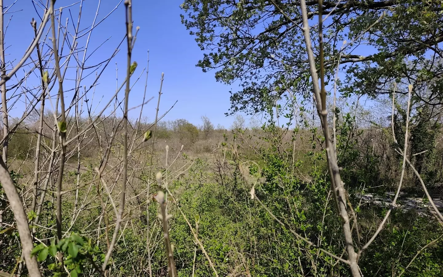 Land In Marčana, Croatia (681 M²)