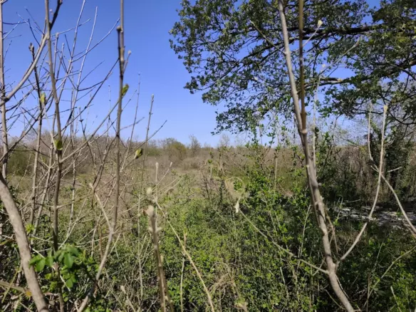 Land In Marčana, Croatia (681 M²)