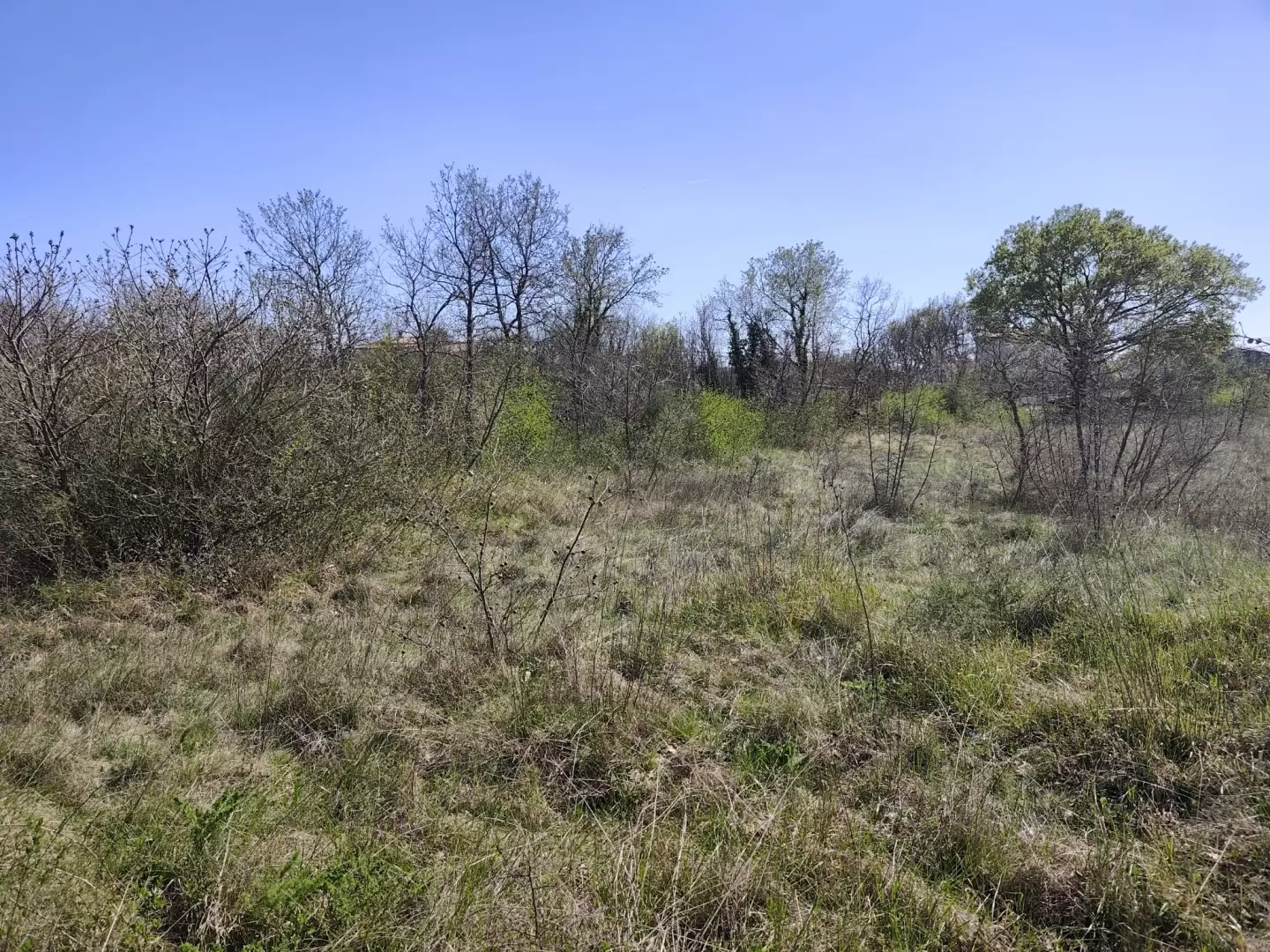 Land In Marčana, Croatia (681 M²)