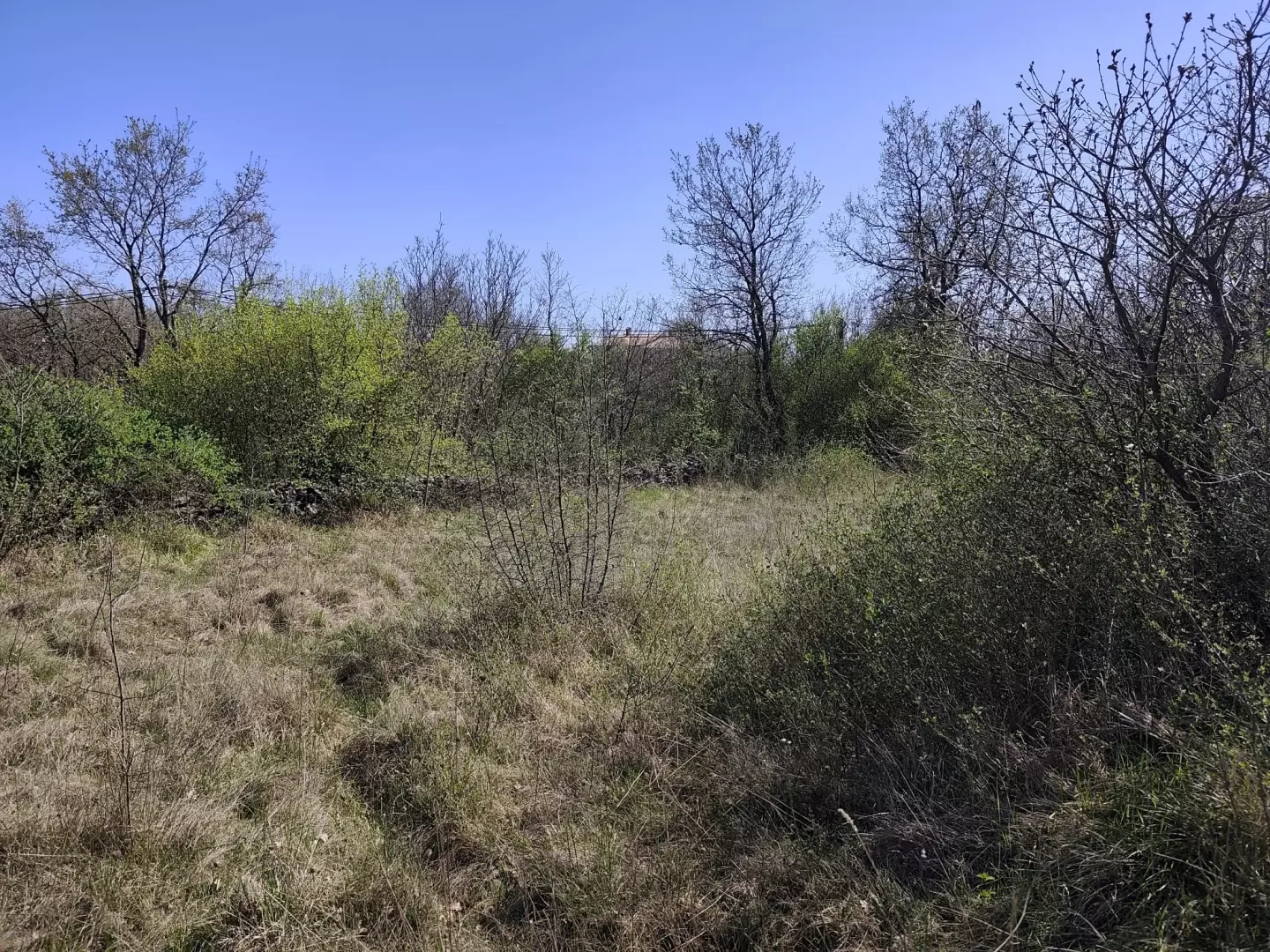 Land In Marčana, Croatia (681 M²)