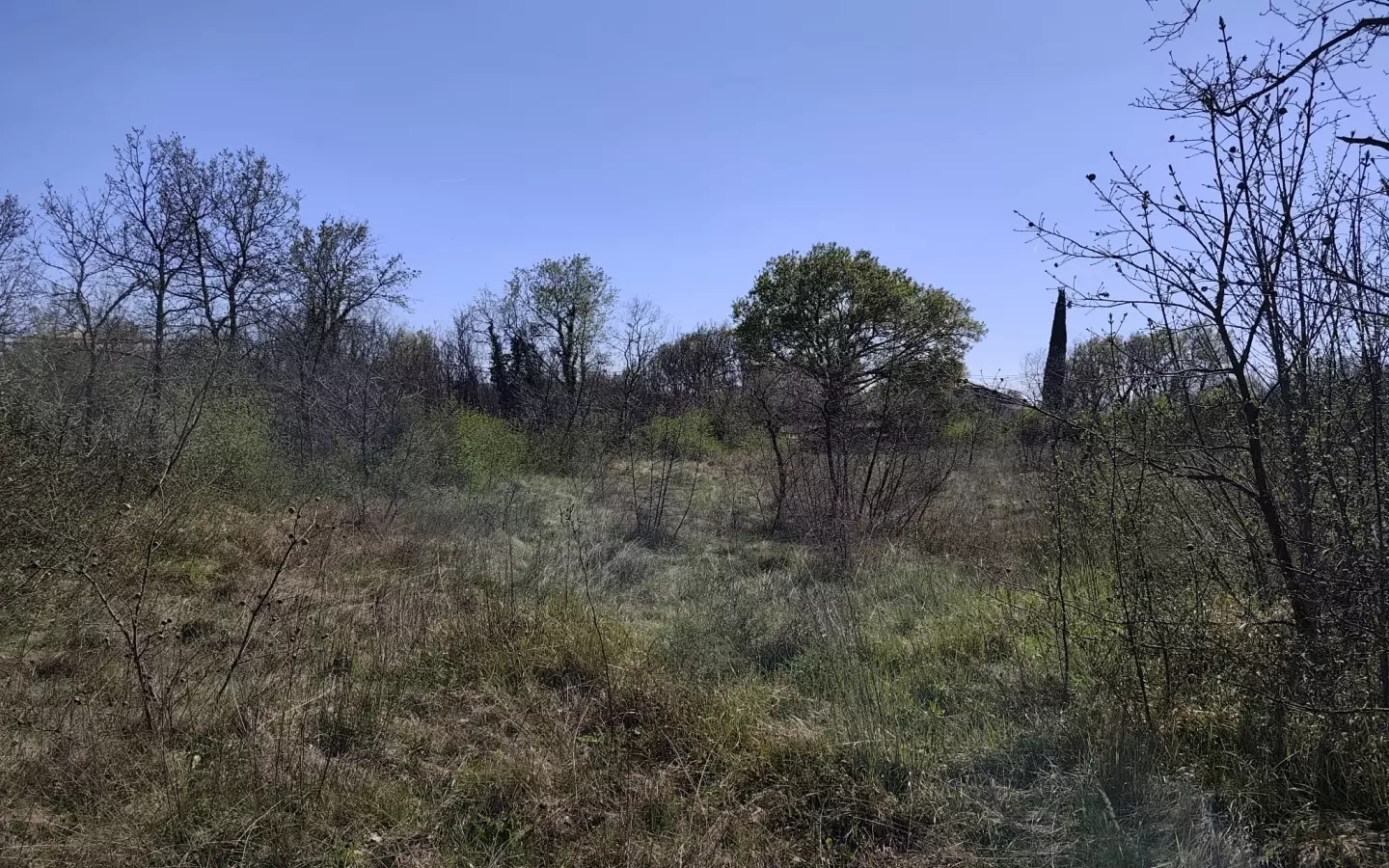 Land In Marčana, Croatia (681 M²)