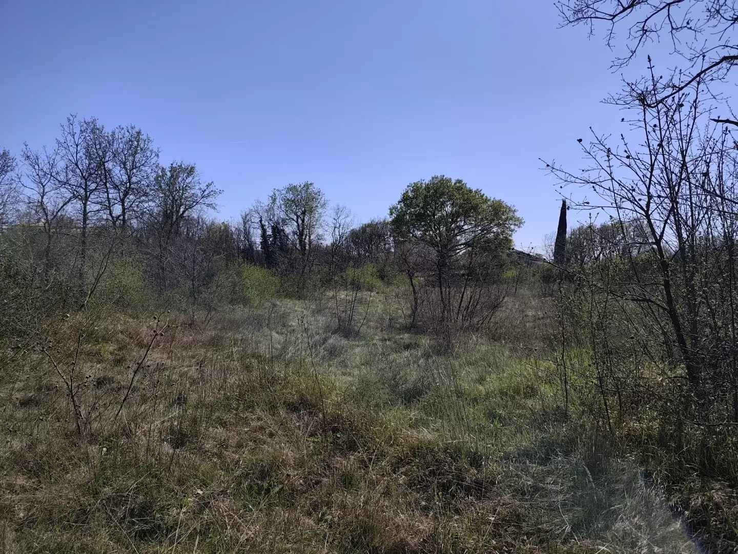 Land In Marčana, Croatia (681 M²)