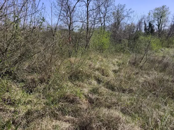 Land In Marčana, Croatia (681 M²)