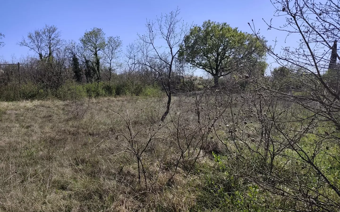 Land In Marčana, Croatia (681 M²)