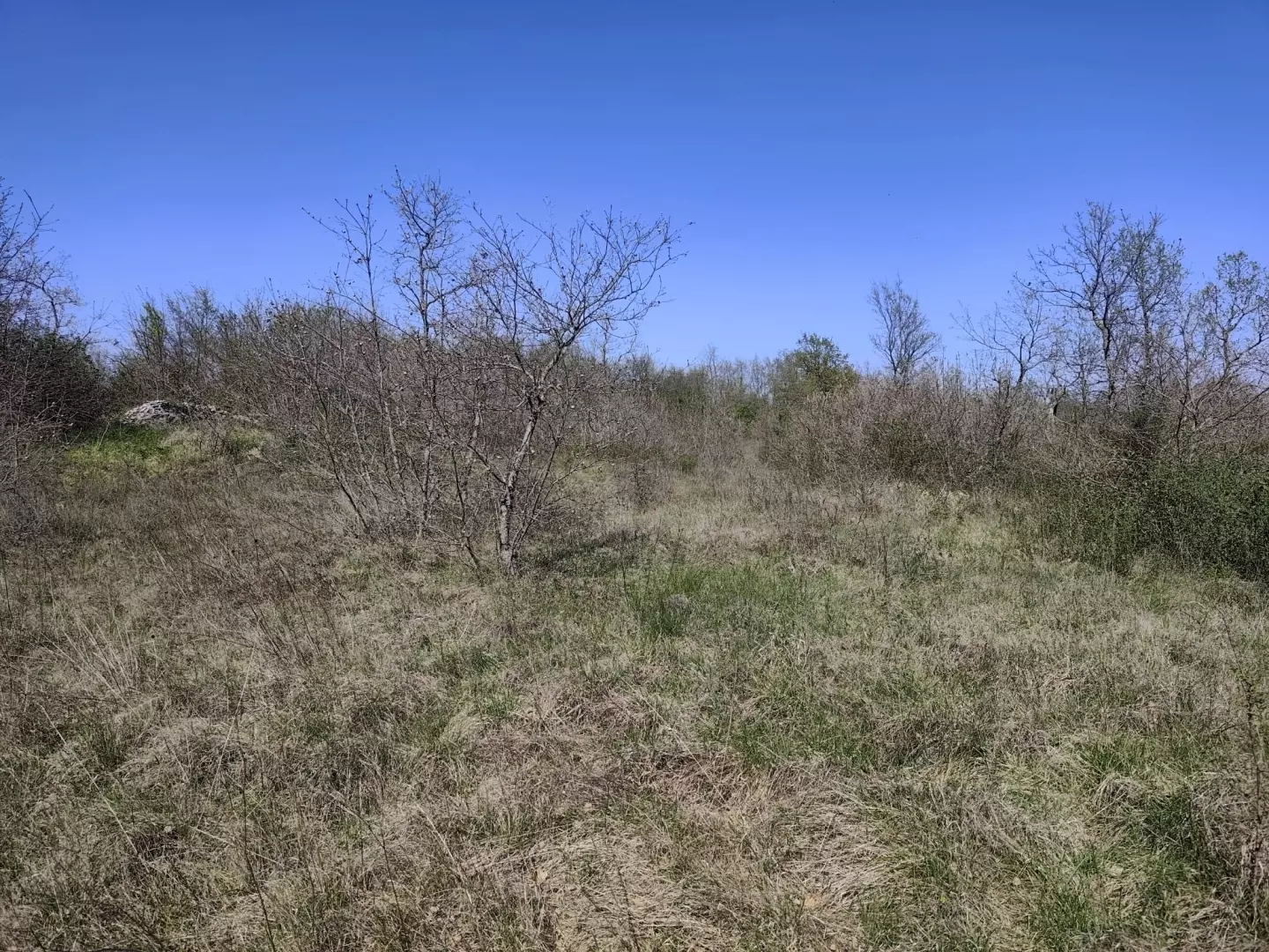 Land In Marčana, Croatia (681 M²)
