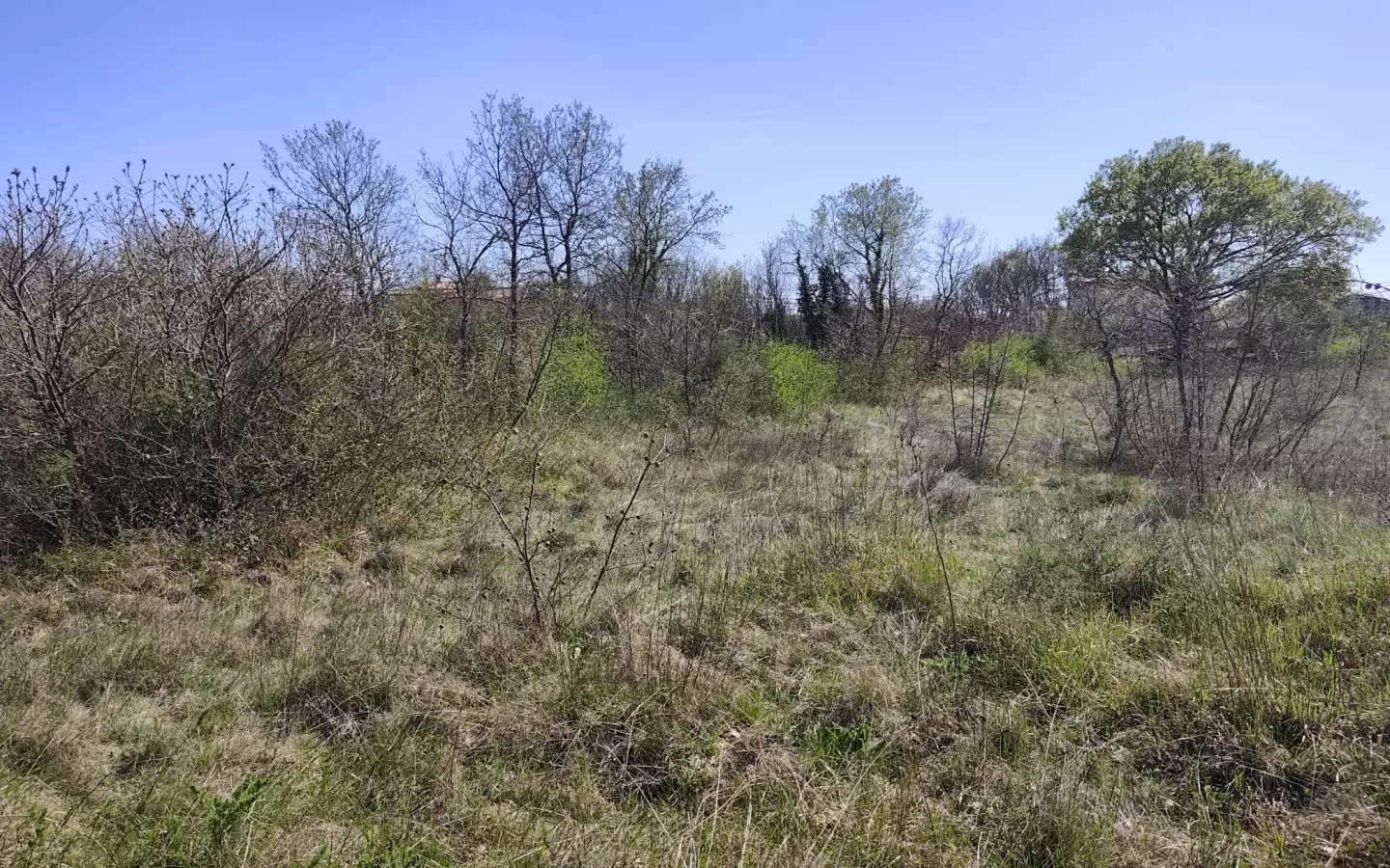 Land In Marčana, Croatia (611 M²)