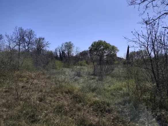 Land In Marčana, Croatia (611 M²)