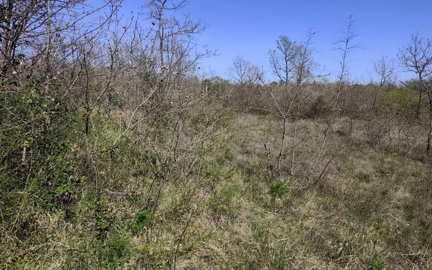 Land In Marčana, Croatia (611 M²)