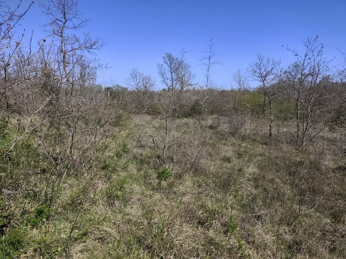 Land In Marčana, Croatia (611 M²)