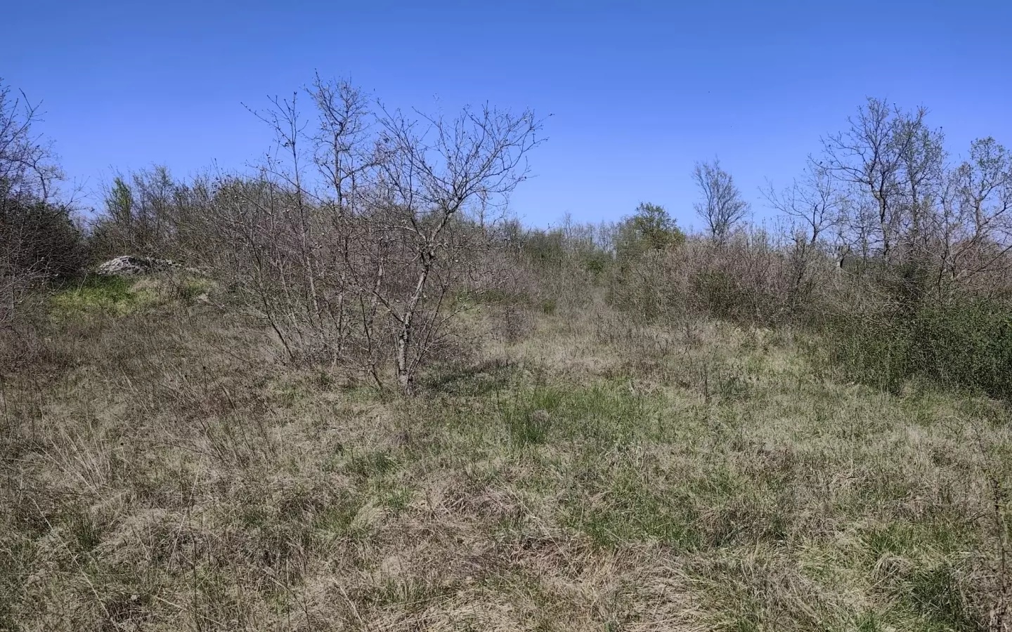 Land In Marčana, Croatia (611 M²)
