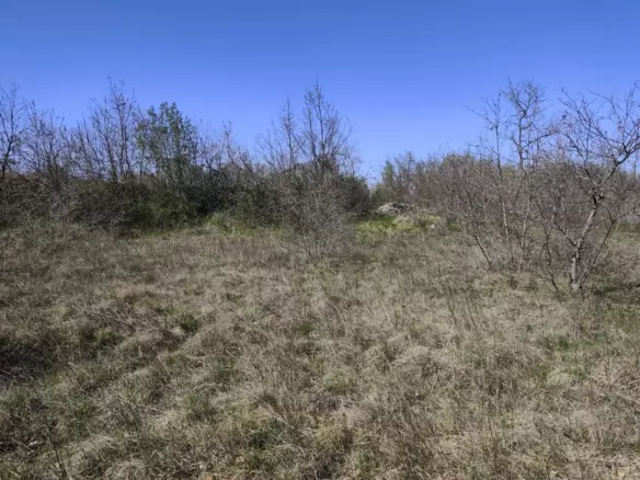 Land In Marčana, Croatia (611 M²)