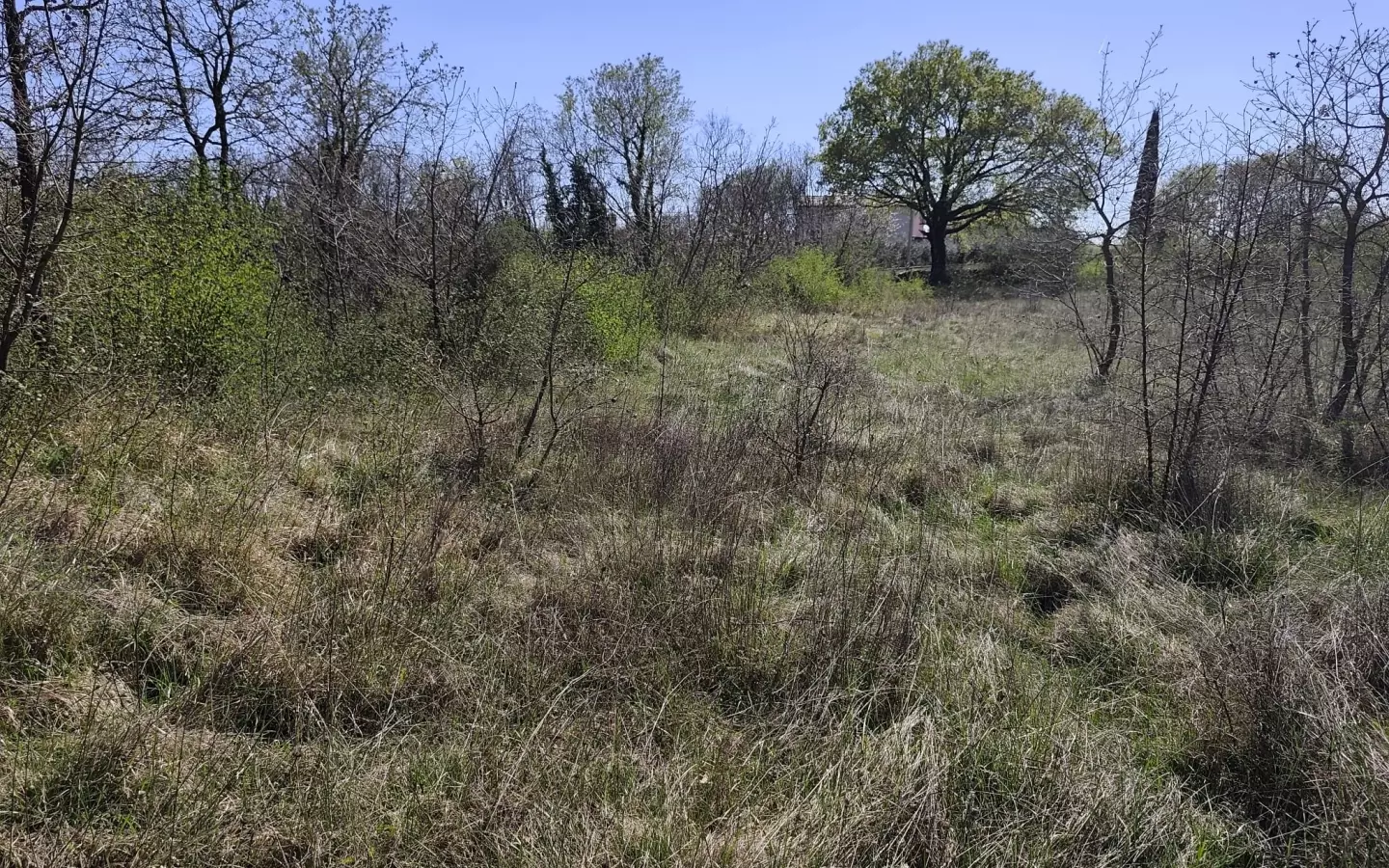 Land In Marčana, Croatia (611 M²)