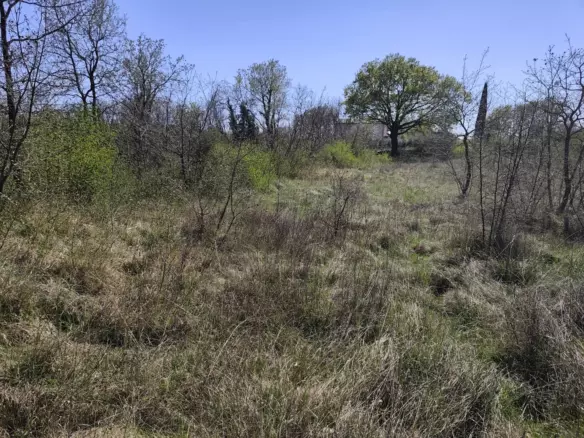 Land In Marčana, Croatia (611 M²)