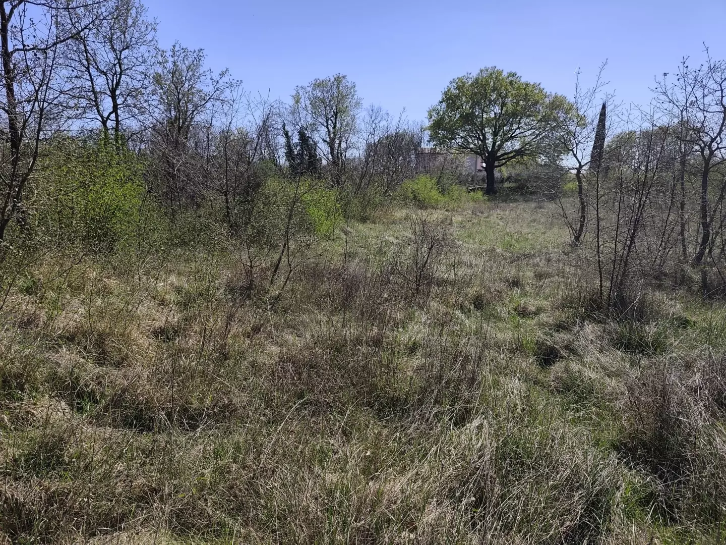 Land In Marčana, Croatia (611 M²)
