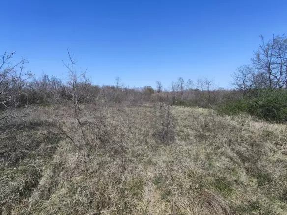 Land In Marčana, Croatia (611 M²)