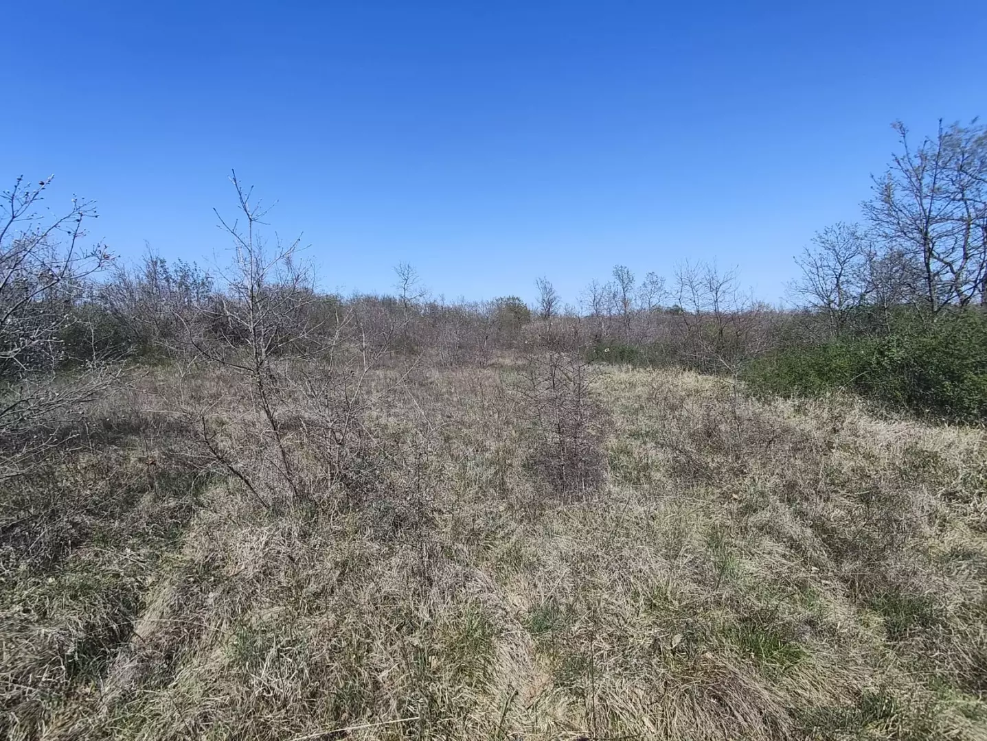 Land In Marčana, Croatia (611 M²)