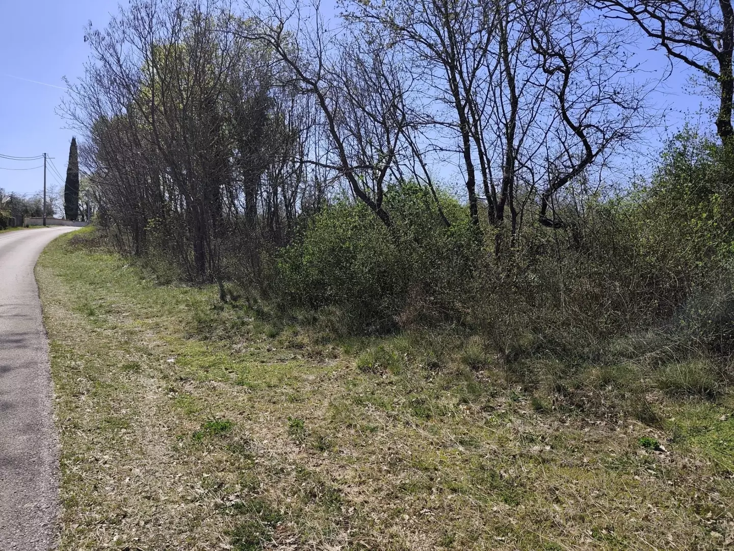 Land In Marčana, Croatia (4.381 M²)