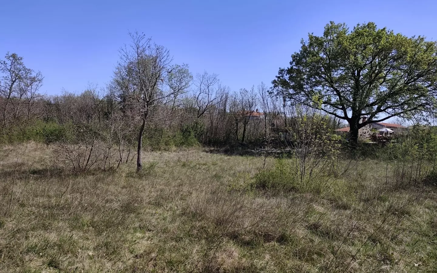 Land In Marčana, Croatia (4.381 M²)