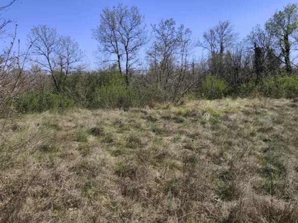 Land In Marčana, Croatia (4.381 M²)