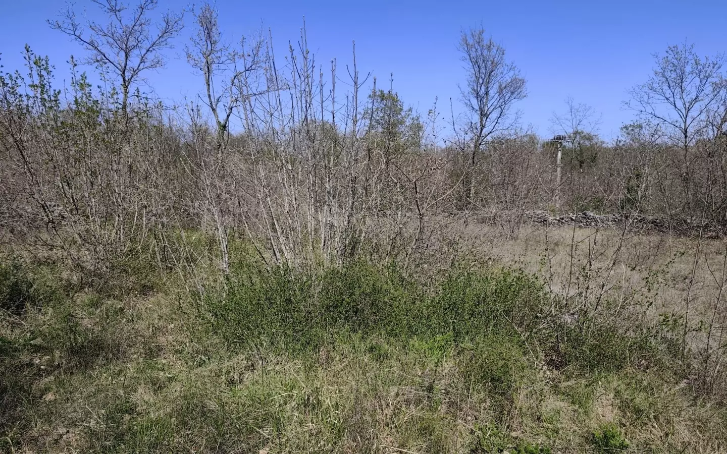 Land In Marčana, Croatia (4.381 M²)